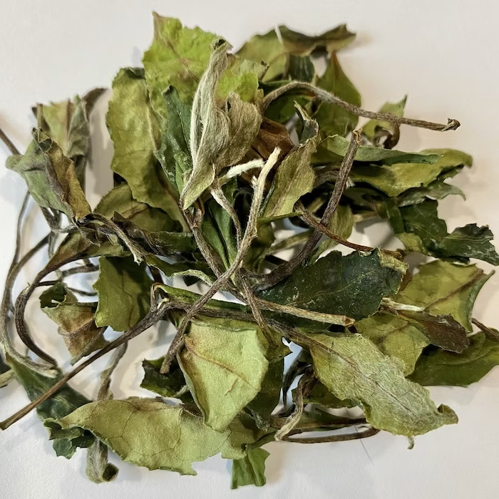 Preparare il tè dalle foglie: una guida passo passo