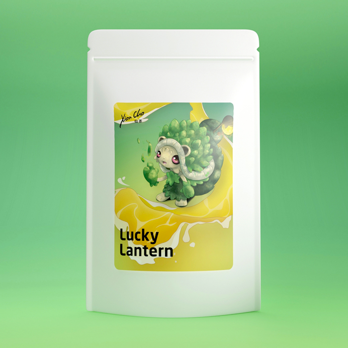 Lucky Lantern - White Tea image