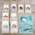 Sample pack of Chinese tea