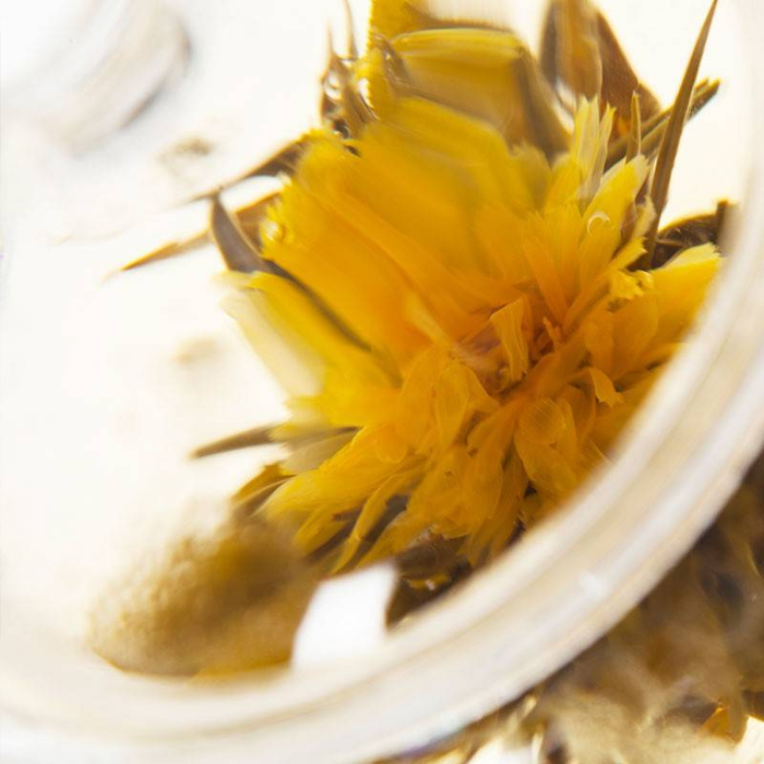 Hope Sun marigold flower blooming tea