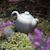 Lin's Ceramic Studio 290ml Grey Ceramic Teapot